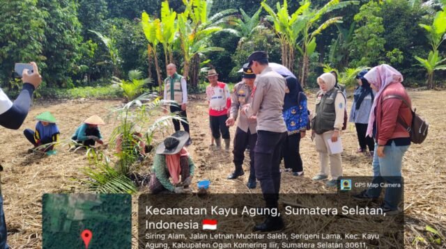 WhatsApp Image 2026-02-19 at 07.46.33